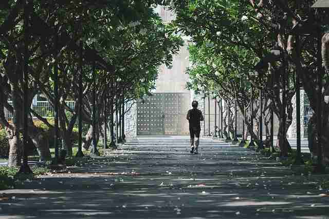 榴莲社区社区治理:爆款公式红与黑(390 )