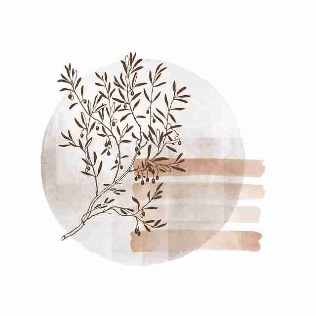行业洞察《麻豆》用户画像暴击